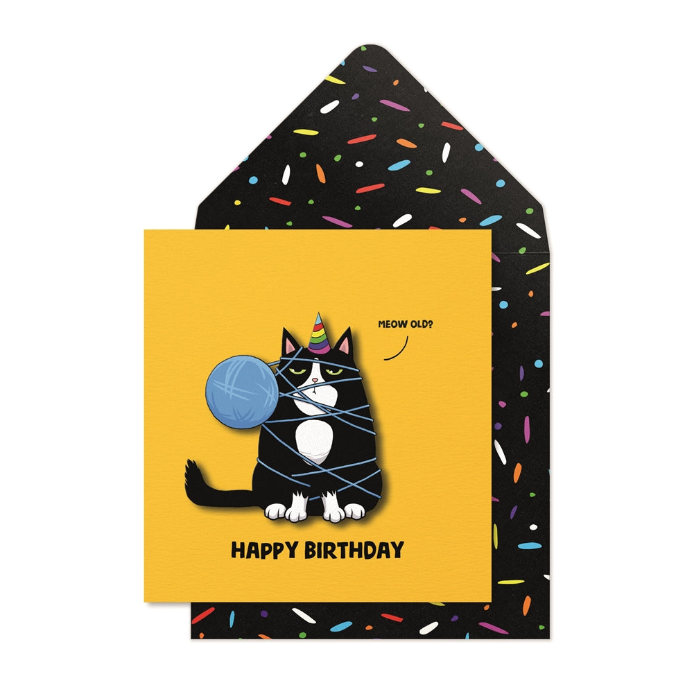 Handmade Birthday Card Made From Recycled Materials - Cat Design