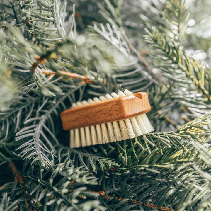 PEAR WOOD TRAVELLING NAIL BRUSH - Nostalgia Furniture & Gifts